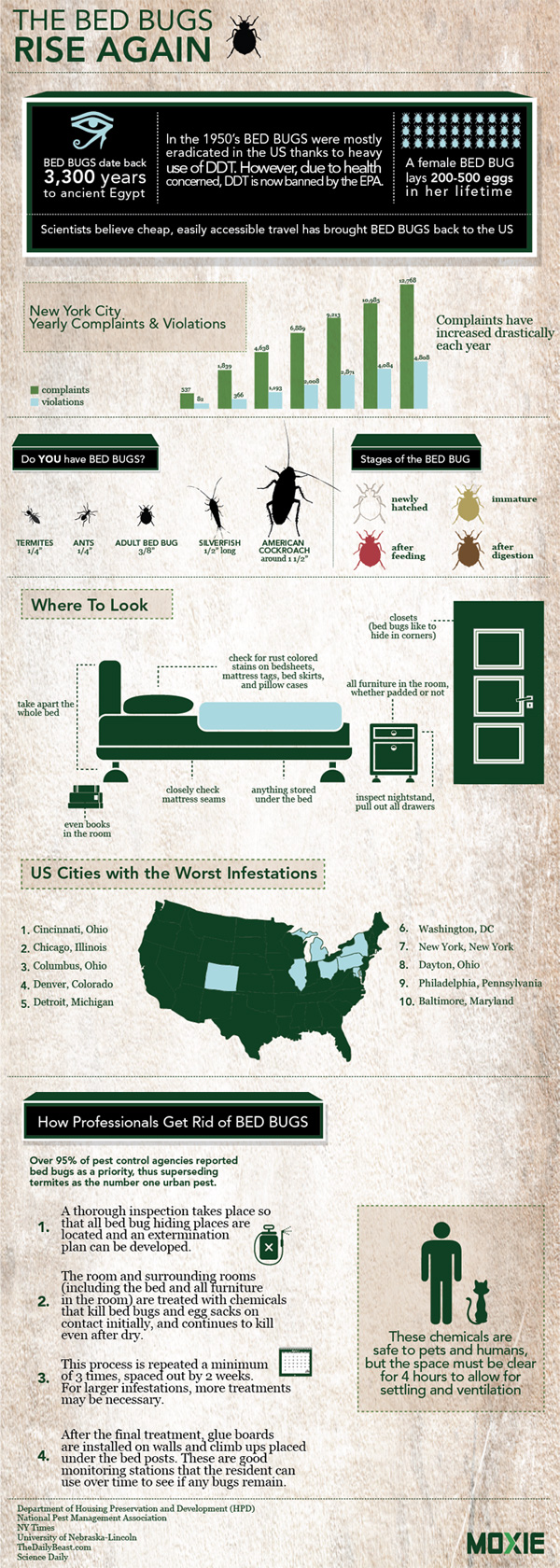 Bed Bug Infographic