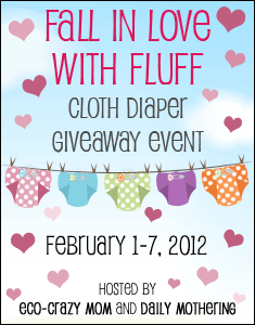 Fall In Love With Fluff - Valentine's Day Cloth Diaper Giveaway Event