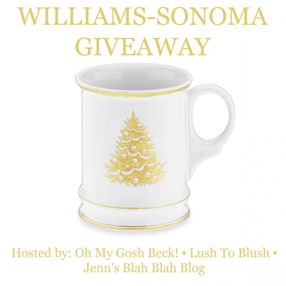 Williams Sonoma Giveaway